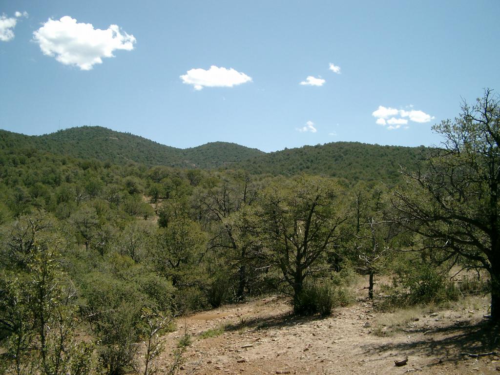 Prudential Silver City Properties Mimbres Office Mimbres NM 88049